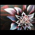 Fiore