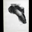 Gambe